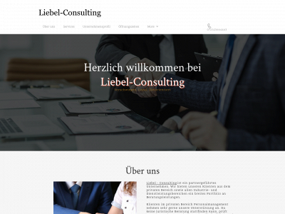 liebel-consulting.com snapshot