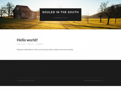 souledinthesouth.com snapshot