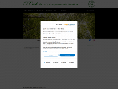 rask-smykker.dk snapshot