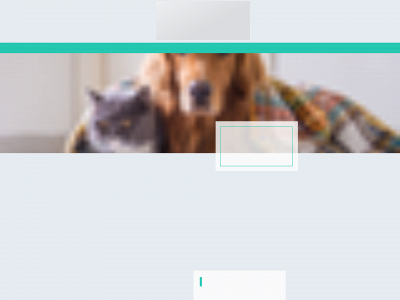petbajavet.fi snapshot