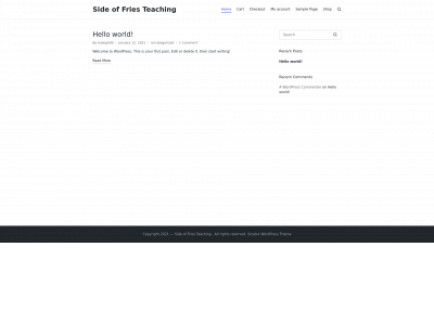 sideoffriesteaching.co snapshot