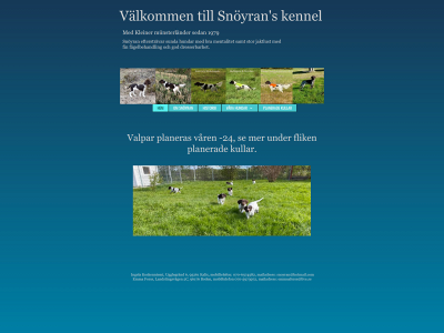 snoyran.se snapshot