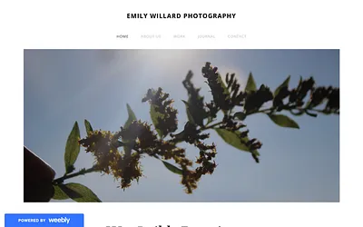 emwillard.weebly.com snapshot