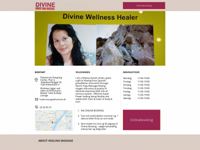 healermassage.one snapshot
