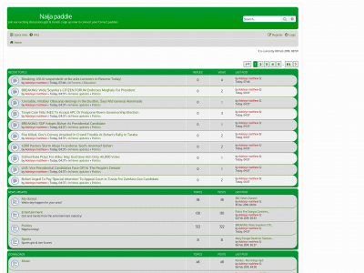 naijapaddie.com.ng snapshot