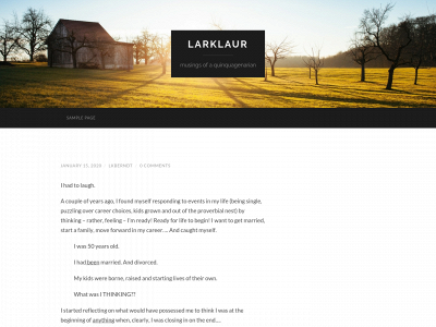 larklaur.com snapshot