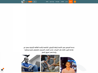 tcegypt.org snapshot