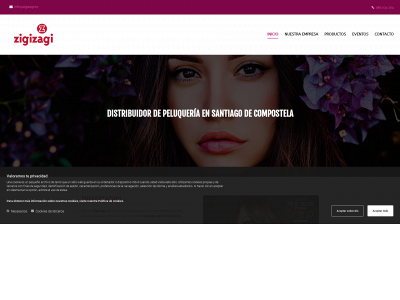 www.zigizagi.net snapshot