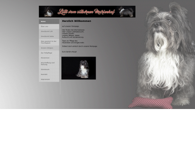 lilli-vom-marienhof.de snapshot