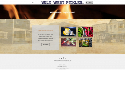 www.thewildwestpickles.com snapshot