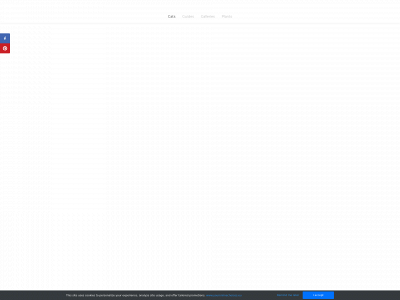 www.patosgatos.com snapshot
