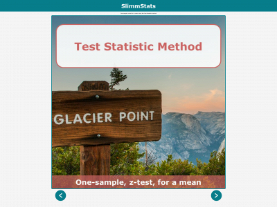 slimmstats.com snapshot