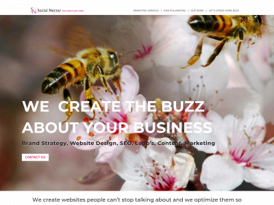 socialnectar.net snapshot