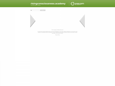 risingconsciousness.academy snapshot
