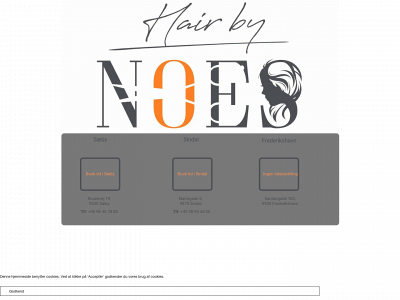 hairbynoes.dk snapshot