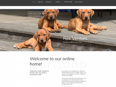 rexventors.com snapshot