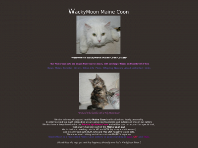 wackymoon.dk snapshot