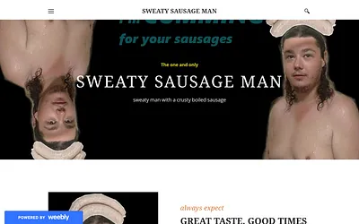 aaronciantar.weebly.com snapshot