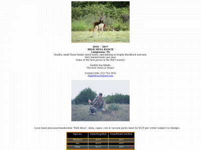 highmesatexas.com snapshot
