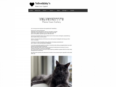 velvetkittys.com snapshot
