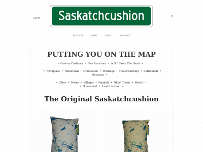 www.saskatchcushion.com snapshot