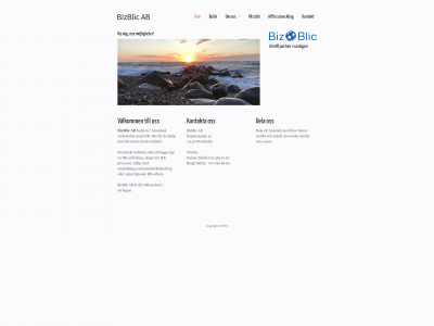 bizblic.se snapshot