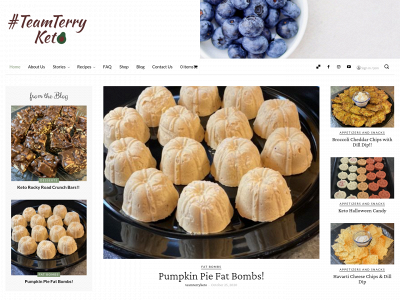 teamterryketo.com snapshot