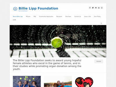 billielippfoundationusa.org snapshot