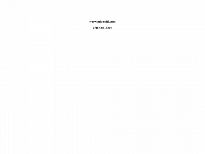 microid.com snapshot