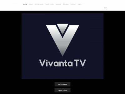 www.vivantasolutions.com snapshot
