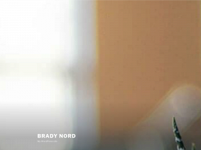 bradynord.com snapshot