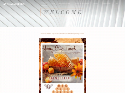 www.aniccaesthetics.com snapshot