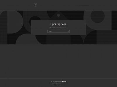 techflare.store snapshot
