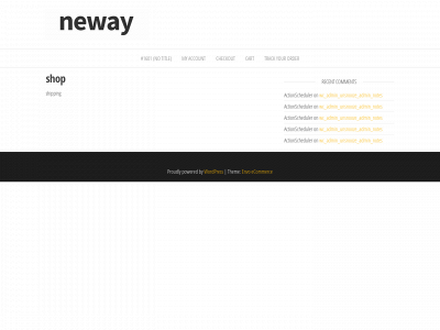 neway-us.com snapshot