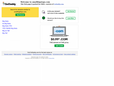 smallbigsteps.com snapshot