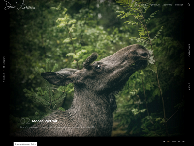 danielaravena.se snapshot