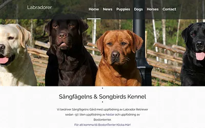 songbirds.se snapshot