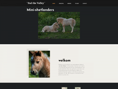 stalthevalley.nl snapshot