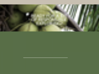 thailandoutandabout.com snapshot