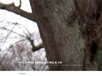 valentin-consult.dk snapshot