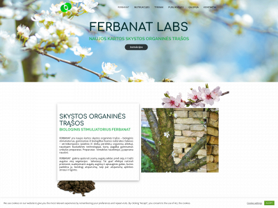 ferbanat-labs.com snapshot