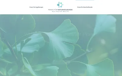 naturheilkunde-bayram-waesche.de snapshot