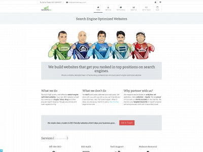 optimizationguy.com snapshot