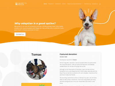 nefertitisrescue.org snapshot