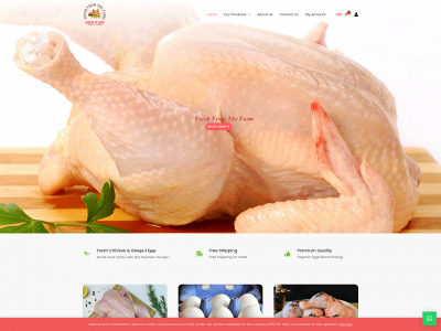 chicknhen.ae snapshot