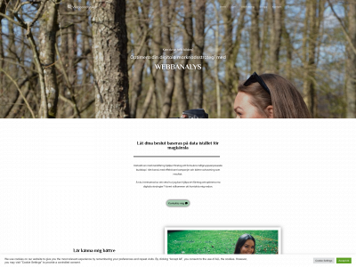 johannalonnberg.se snapshot
