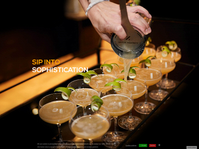 spitzecocktails.dk snapshot