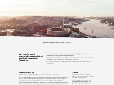 teamfmr.se snapshot