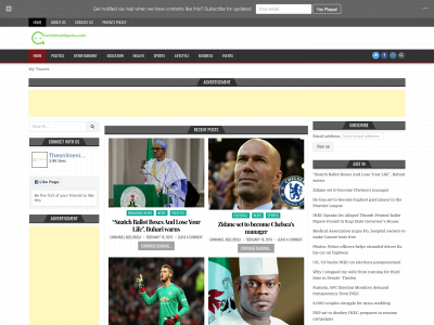 www.theonlinenigeria.com snapshot