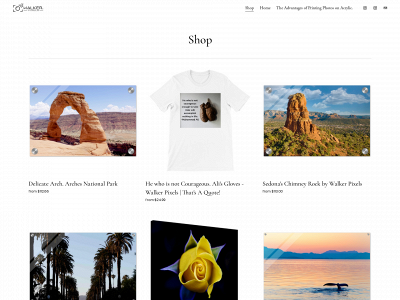 www.walkerpixels.com snapshot